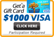 $1,000 VISA Card